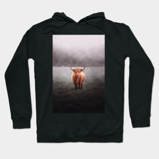 Highland Cow Hoodie